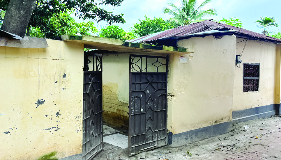 Image of মো. মেহেদী হাসান রবিন